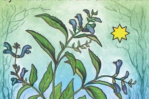 Unlock Herbal Tarot Secrets: A Botanical Guide The Ultimate Herbal Remedies Guide: Natural Healing for a Healthier Life Unlock Herbal Tarot Secrets: A Botanical Guide | The Ultimate Herbal Remedies Guide: Natural Healing for a Healthier Life