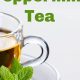 Herbal Tea? Discover: Is Peppermint Tea a Herbal Tea? Facts | The Ultimate Herbal Remedies Guide: Natural Healing for a Healthier Life