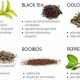 Unlock Herbal Tea Benefits: A Guide | The Ultimate Herbal Remedies Guide: Natural Healing for a Healthier Life
