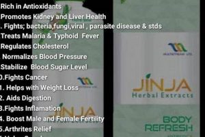 Discover Jinja Herbal Cleanser: Your Gentle Skin Solution The Ultimate Herbal Remedies Guide: Natural Healing for a Healthier Life Discover Jinja Herbal Cleanser: Your Gentle Skin Solution | The Ultimate Herbal Remedies Guide: Natural Healing for a Healthier Life