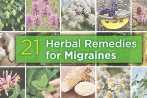 Natural Herbal Treatments for Migraines Relief Fast The Ultimate Herbal Remedies Guide: Natural Healing for a Healthier Life Natural Herbal Treatments for Migraines Relief Fast | The Ultimate Herbal Remedies Guide: Natural Healing for a Healthier Life