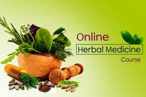 Learn: Herbal Medicine Courses Online - Free! The Ultimate Herbal Remedies Guide: Natural Healing for a Healthier Life Learn: Herbal Medicine Courses Online - Free! | The Ultimate Herbal Remedies Guide: Natural Healing for a Healthier Life