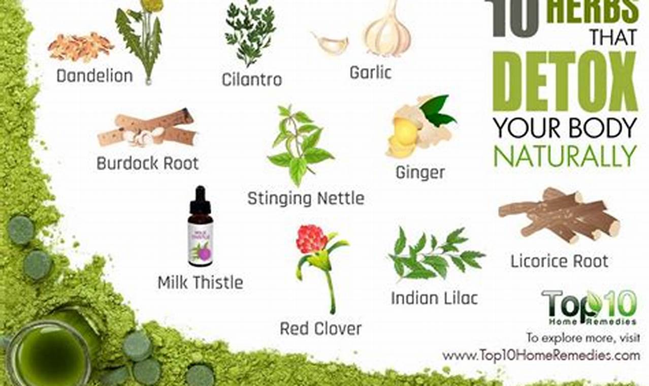 Herbal Clean Detox: How to Use Guide + Tips! The Ultimate Herbal Remedies Guide: Natural Healing for a Healthier Life Herbal Clean Detox: How to Use Guide + Tips! | The Ultimate Herbal Remedies Guide: Natural Healing for a Healthier Life