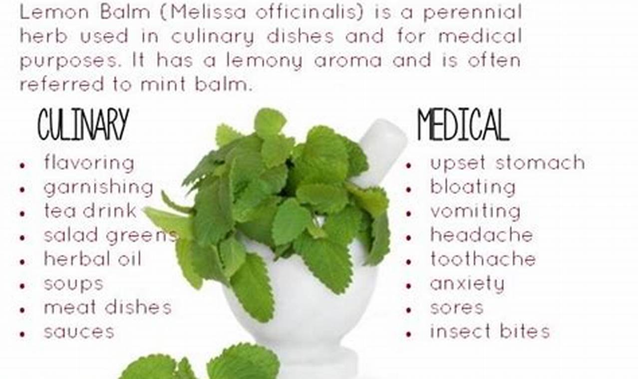 Discover Lemon Balm Herbal Benefits: A Natural Aid The Ultimate Herbal Remedies Guide: Natural Healing for a Healthier Life Discover Lemon Balm Herbal Benefits: A Natural Aid | The Ultimate Herbal Remedies Guide: Natural Healing for a Healthier Life