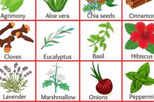Know Your Herbals: Herbal Plants Names and Images Guide The Ultimate Herbal Remedies Guide: Natural Healing for a Healthier Life Know Your Herbals: Herbal Plants Names and Images Guide | The Ultimate Herbal Remedies Guide: Natural Healing for a Healthier Life