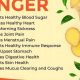 Unlock Ginger Herbal Tea Benefits: Your Guide + More! | The Ultimate Herbal Remedies Guide: Natural Healing for a Healthier Life