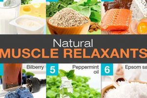 Natural Herbal Muscle Relaxers: Benefits & Guide The Ultimate Herbal Remedies Guide: Natural Healing for a Healthier Life Natural Herbal Muscle Relaxers: Benefits & Guide | The Ultimate Herbal Remedies Guide: Natural Healing for a Healthier Life