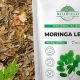 Drink Better: Moringa Oleifera Herbal Tea Benefits Now! | The Ultimate Herbal Remedies Guide: Natural Healing for a Healthier Life