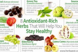 Boost Health: Top Antioxidant Herbal Remedies Now The Ultimate Herbal Remedies Guide: Natural Healing for a Healthier Life Boost Health: Top Antioxidant Herbal Remedies Now | The Ultimate Herbal Remedies Guide: Natural Healing for a Healthier Life