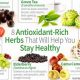 Boost Health: Top Antioxidant Herbal Remedies Now | The Ultimate Herbal Remedies Guide: Natural Healing for a Healthier Life