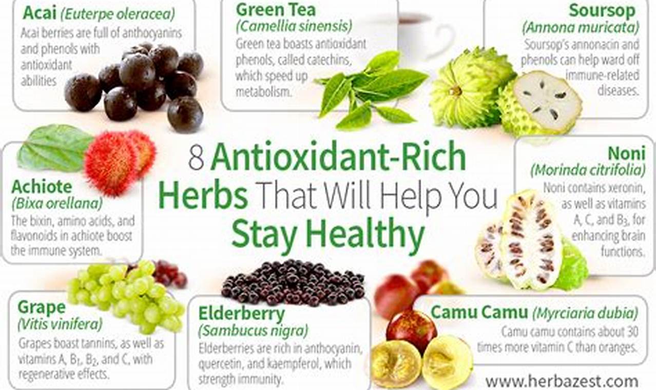 Boost Health: Top Antioxidant Herbal Remedies Now The Ultimate Herbal Remedies Guide: Natural Healing for a Healthier Life Boost Health: Top Antioxidant Herbal Remedies Now | The Ultimate Herbal Remedies Guide: Natural Healing for a Healthier Life