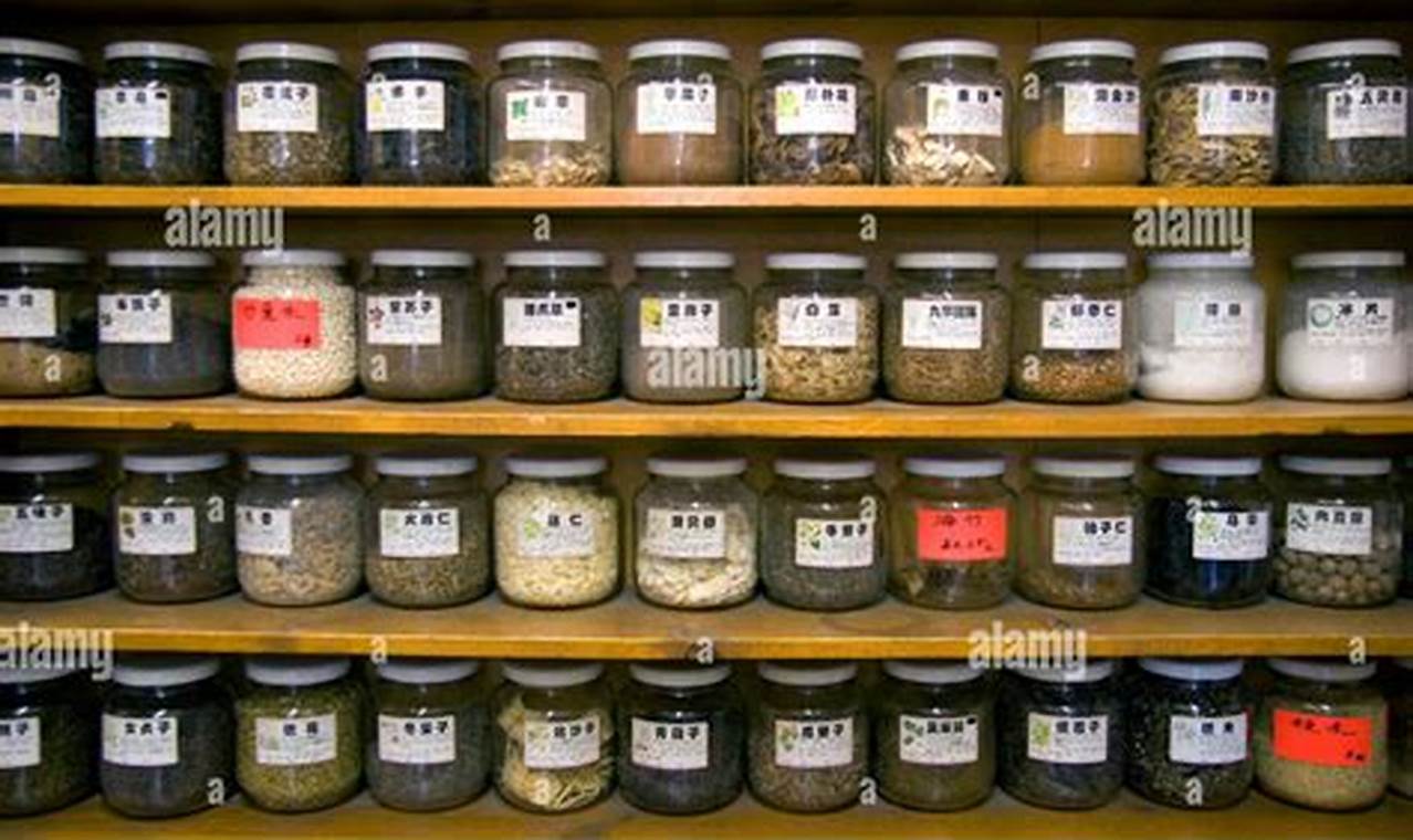 Find Local: Herbal Store Chicago, IL + More The Ultimate Herbal Remedies Guide: Natural Healing for a Healthier Life Find Local: Herbal Store Chicago, IL + More | The Ultimate Herbal Remedies Guide: Natural Healing for a Healthier Life