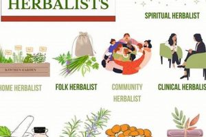 Unlocking Definition of Herbalism: A Natural Guide The Ultimate Herbal Remedies Guide: Natural Healing for a Healthier Life Unlocking Definition of Herbalism: A Natural Guide | The Ultimate Herbal Remedies Guide: Natural Healing for a Healthier Life