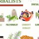 Unlocking Definition of Herbalism: A Natural Guide | The Ultimate Herbal Remedies Guide: Natural Healing for a Healthier Life
