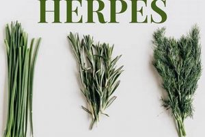 Natural Herbal Treatment for Herpes 2: Relief & Support The Ultimate Herbal Remedies Guide: Natural Healing for a Healthier Life Natural Herbal Treatment for Herpes 2: Relief & Support | The Ultimate Herbal Remedies Guide: Natural Healing for a Healthier Life