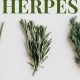 Natural Herbal Treatment for Herpes 2: Relief &amp; Support | The Ultimate Herbal Remedies Guide: Natural Healing for a Healthier Life