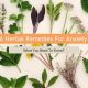 Best Natural Herbal for Anxiety Relief: Calm Now | The Ultimate Herbal Remedies Guide: Natural Healing for a Healthier Life