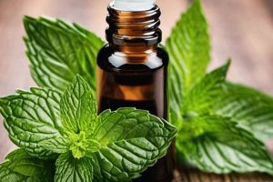 Natural Peppermint Herbal Remedy: Benefits & Uses The Ultimate Herbal Remedies Guide: Natural Healing for a Healthier Life Natural Peppermint Herbal Remedy: Benefits & Uses | The Ultimate Herbal Remedies Guide: Natural Healing for a Healthier Life