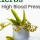 Natural Herbal Medicines for High Blood Pressure Relief | The Ultimate Herbal Remedies Guide: Natural Healing for a Healthier Life