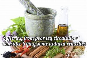 Best Herbal Remedy for Leg Circulation: Tips & More The Ultimate Herbal Remedies Guide: Natural Healing for a Healthier Life Best Herbal Remedy for Leg Circulation: Tips & More | The Ultimate Herbal Remedies Guide: Natural Healing for a Healthier Life