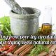 Best Herbal Remedy for Leg Circulation: Tips & More | The Ultimate Herbal Remedies Guide: Natural Healing for a Healthier Life