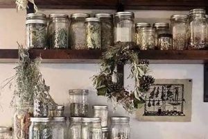 Organize Your Herbal Shelf: Storage Tips & More The Ultimate Herbal Remedies Guide: Natural Healing for a Healthier Life Organize Your Herbal Shelf: Storage Tips & More | The Ultimate Herbal Remedies Guide: Natural Healing for a Healthier Life