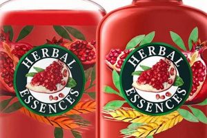 Best Herbal Shampoo & Conditioner: Find Yours Today! The Ultimate Herbal Remedies Guide: Natural Healing for a Healthier Life Best Herbal Shampoo & Conditioner: Find Yours Today! | The Ultimate Herbal Remedies Guide: Natural Healing for a Healthier Life