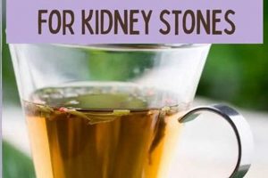 Can Herbal Tea Cause Kidney Stones? Risks & Benefits The Ultimate Herbal Remedies Guide: Natural Healing for a Healthier Life Can Herbal Tea Cause Kidney Stones? Risks & Benefits | The Ultimate Herbal Remedies Guide: Natural Healing for a Healthier Life