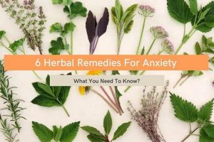 Natural Herbal Anxiety Remedies: A Beginner's Guide The Ultimate Herbal Remedies Guide: Natural Healing for a Healthier Life Natural Herbal Anxiety Remedies: A Beginner's Guide | The Ultimate Herbal Remedies Guide: Natural Healing for a Healthier Life