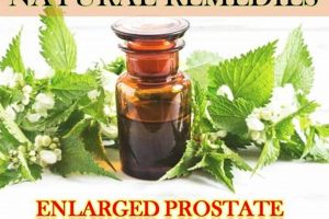 Natural Herbal Treatment for Prostate: Relief & Support The Ultimate Herbal Remedies Guide: Natural Healing for a Healthier Life Natural Herbal Treatment for Prostate: Relief & Support | The Ultimate Herbal Remedies Guide: Natural Healing for a Healthier Life