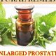 Natural Herbal Treatment for Prostate: Relief &amp; Support | The Ultimate Herbal Remedies Guide: Natural Healing for a Healthier Life