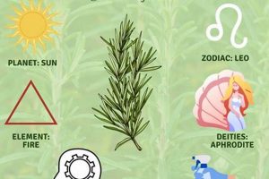 Unlock Rosemary Herbal Tea Benefits: A Natural Boost The Ultimate Herbal Remedies Guide: Natural Healing for a Healthier Life Unlock Rosemary Herbal Tea Benefits: A Natural Boost | The Ultimate Herbal Remedies Guide: Natural Healing for a Healthier Life