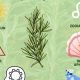 Unlock Rosemary Herbal Tea Benefits: A Natural Boost | The Ultimate Herbal Remedies Guide: Natural Healing for a Healthier Life