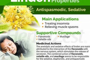 Unlock Linden Herbal Benefits: Your Guide + Uses The Ultimate Herbal Remedies Guide: Natural Healing for a Healthier Life Unlock Linden Herbal Benefits: Your Guide + Uses | The Ultimate Herbal Remedies Guide: Natural Healing for a Healthier Life
