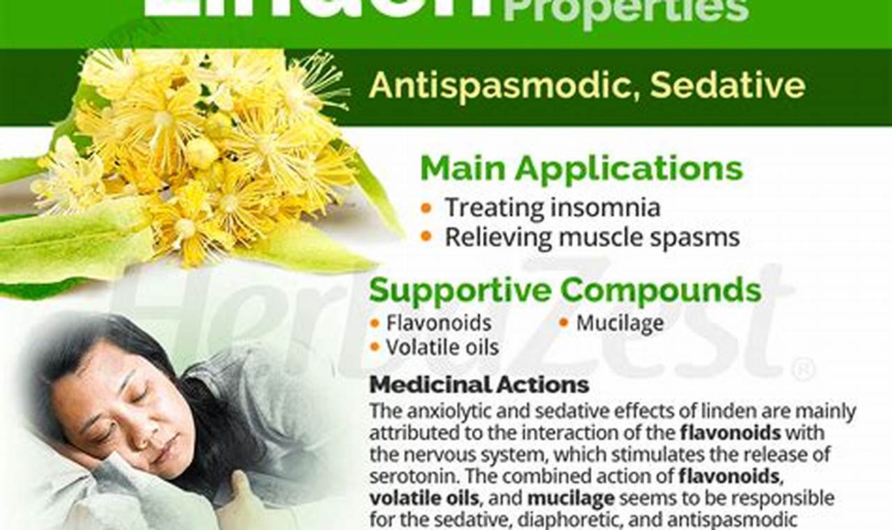 Unlock Linden Herbal Benefits: Your Guide + Uses The Ultimate Herbal Remedies Guide: Natural Healing for a Healthier Life Unlock Linden Herbal Benefits: Your Guide + Uses | The Ultimate Herbal Remedies Guide: Natural Healing for a Healthier Life