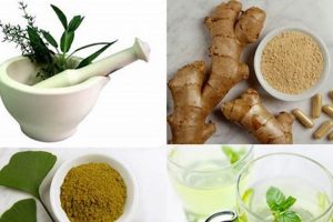 Natural Herbal Treatment for Gas: Relief & Remedies The Ultimate Herbal Remedies Guide: Natural Healing for a Healthier Life Natural Herbal Treatment for Gas: Relief & Remedies | The Ultimate Herbal Remedies Guide: Natural Healing for a Healthier Life