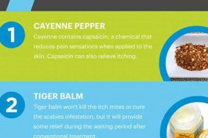 Natural Scabies Herbal Treatment: Relief + Prevention The Ultimate Herbal Remedies Guide: Natural Healing for a Healthier Life Natural Scabies Herbal Treatment: Relief + Prevention | The Ultimate Herbal Remedies Guide: Natural Healing for a Healthier Life