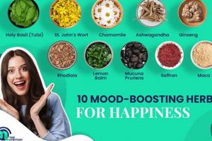 Unlock True Herbal Happiness: A Guide for Well-being The Ultimate Herbal Remedies Guide: Natural Healing for a Healthier Life Unlock True Herbal Happiness: A Guide for Well-being | The Ultimate Herbal Remedies Guide: Natural Healing for a Healthier Life