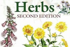 The Essential Herbal Plants Book Guide & Remedies The Ultimate Herbal Remedies Guide: Natural Healing for a Healthier Life The Essential Herbal Plants Book Guide & Remedies | The Ultimate Herbal Remedies Guide: Natural Healing for a Healthier Life
