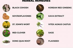Natural Lady: Herbal Remedies Guide & Tips The Ultimate Herbal Remedies Guide: Natural Healing for a Healthier Life Natural Lady: Herbal Remedies Guide & Tips | The Ultimate Herbal Remedies Guide: Natural Healing for a Healthier Life
