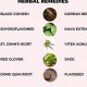 Natural Lady: Herbal Remedies Guide & Tips | The Ultimate Herbal Remedies Guide: Natural Healing for a Healthier Life