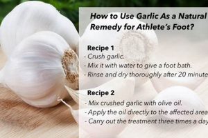 Natural Boost: Herbal Remedies for Athletes - Power Up! The Ultimate Herbal Remedies Guide: Natural Healing for a Healthier Life Natural Boost: Herbal Remedies for Athletes - Power Up! | The Ultimate Herbal Remedies Guide: Natural Healing for a Healthier Life