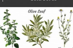 Natural Relief: Herbal Treatment for Cold Sores, Soothe & Heal The Ultimate Herbal Remedies Guide: Natural Healing for a Healthier Life Natural Relief: Herbal Treatment for Cold Sores, Soothe & Heal | The Ultimate Herbal Remedies Guide: Natural Healing for a Healthier Life