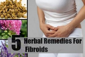 Natural Herbal Remedy for Fibroids: Relief Guide The Ultimate Herbal Remedies Guide: Natural Healing for a Healthier Life Natural Herbal Remedy for Fibroids: Relief Guide | The Ultimate Herbal Remedies Guide: Natural Healing for a Healthier Life