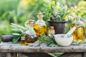 DIY Herbal Medicine Making: Easy & Natural The Ultimate Herbal Remedies Guide: Natural Healing for a Healthier Life DIY Herbal Medicine Making: Easy & Natural | The Ultimate Herbal Remedies Guide: Natural Healing for a Healthier Life