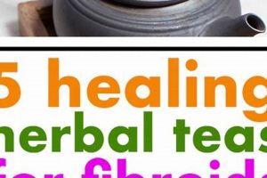 Natural Herbal Tea for Fibroids: Benefits & Risks The Ultimate Herbal Remedies Guide: Natural Healing for a Healthier Life Natural Herbal Tea for Fibroids: Benefits & Risks | The Ultimate Herbal Remedies Guide: Natural Healing for a Healthier Life