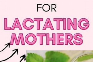 Best Herbal Tea for Lactating Mothers: Boost Milk Supply The Ultimate Herbal Remedies Guide: Natural Healing for a Healthier Life Best Herbal Tea for Lactating Mothers: Boost Milk Supply | The Ultimate Herbal Remedies Guide: Natural Healing for a Healthier Life