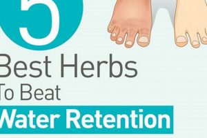 Natural Best Herbal Diuretic: Relief + Benefits The Ultimate Herbal Remedies Guide: Natural Healing for a Healthier Life Natural Best Herbal Diuretic: Relief + Benefits | The Ultimate Herbal Remedies Guide: Natural Healing for a Healthier Life