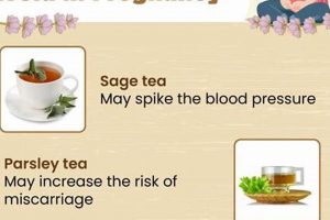 Pregnancy Tea Safety: What Herbal Teas to Avoid When Pregnant The Ultimate Herbal Remedies Guide: Natural Healing for a Healthier Life Pregnancy Tea Safety: What Herbal Teas to Avoid When Pregnant | The Ultimate Herbal Remedies Guide: Natural Healing for a Healthier Life