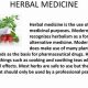 What's Herbal? Understanding Herbal Drugs Definition + Uses | The Ultimate Herbal Remedies Guide: Natural Healing for a Healthier Life